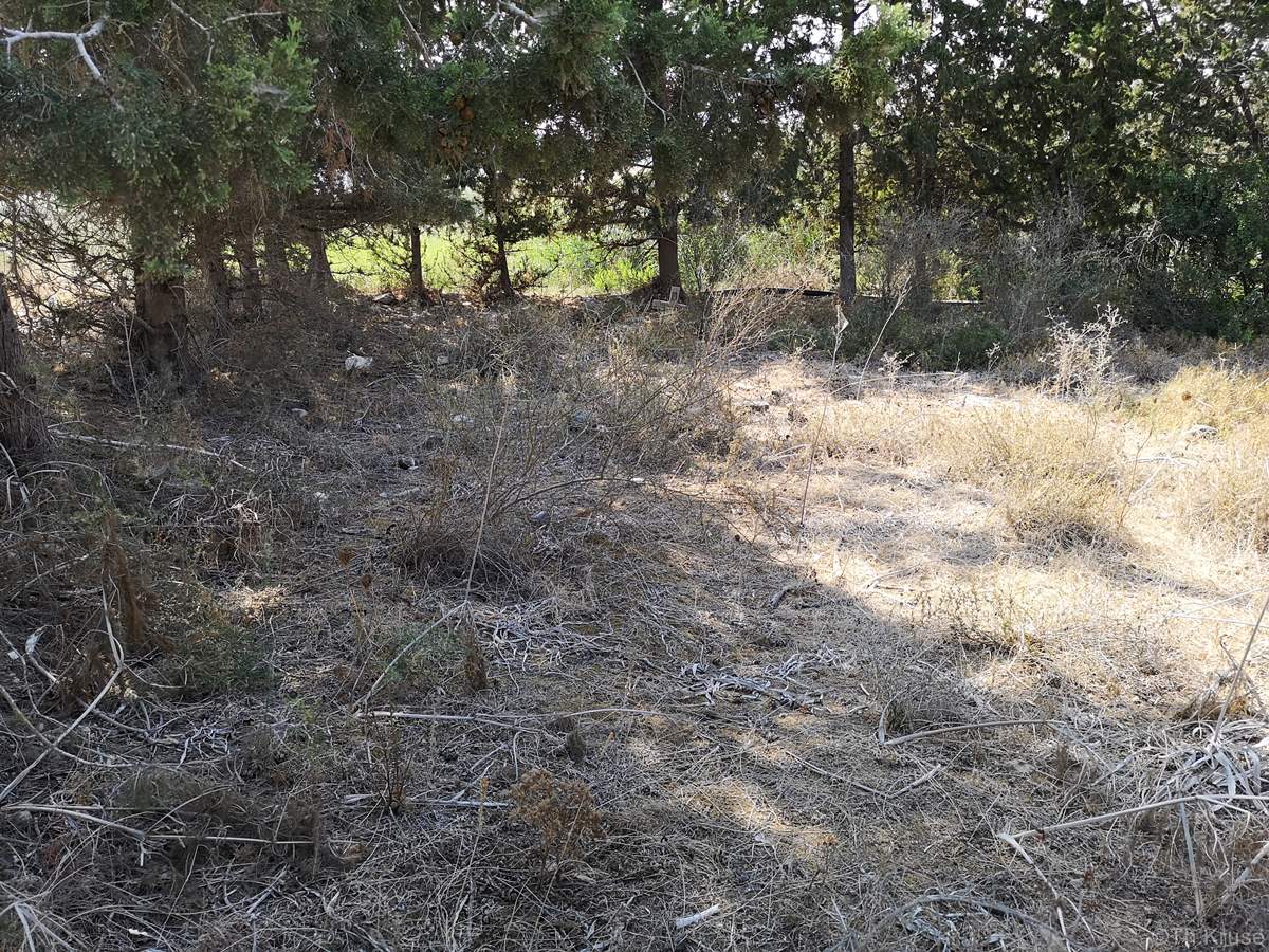 Ελληνορθόδοξο Κοιμητήριο Πάναγρα
