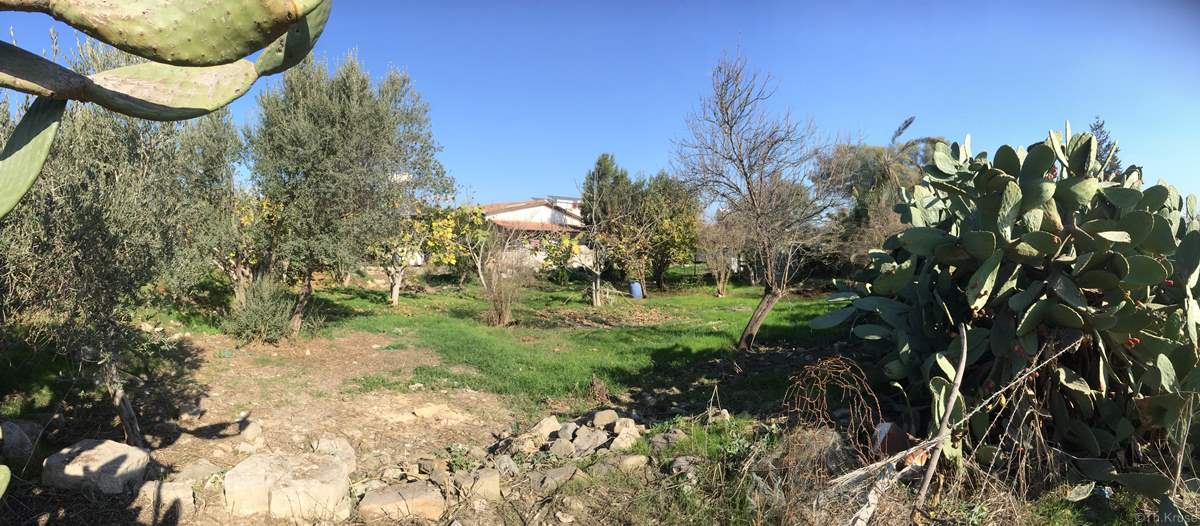 Ελληνορθόδοξο Κοιμητήριο Μια Μηλιά