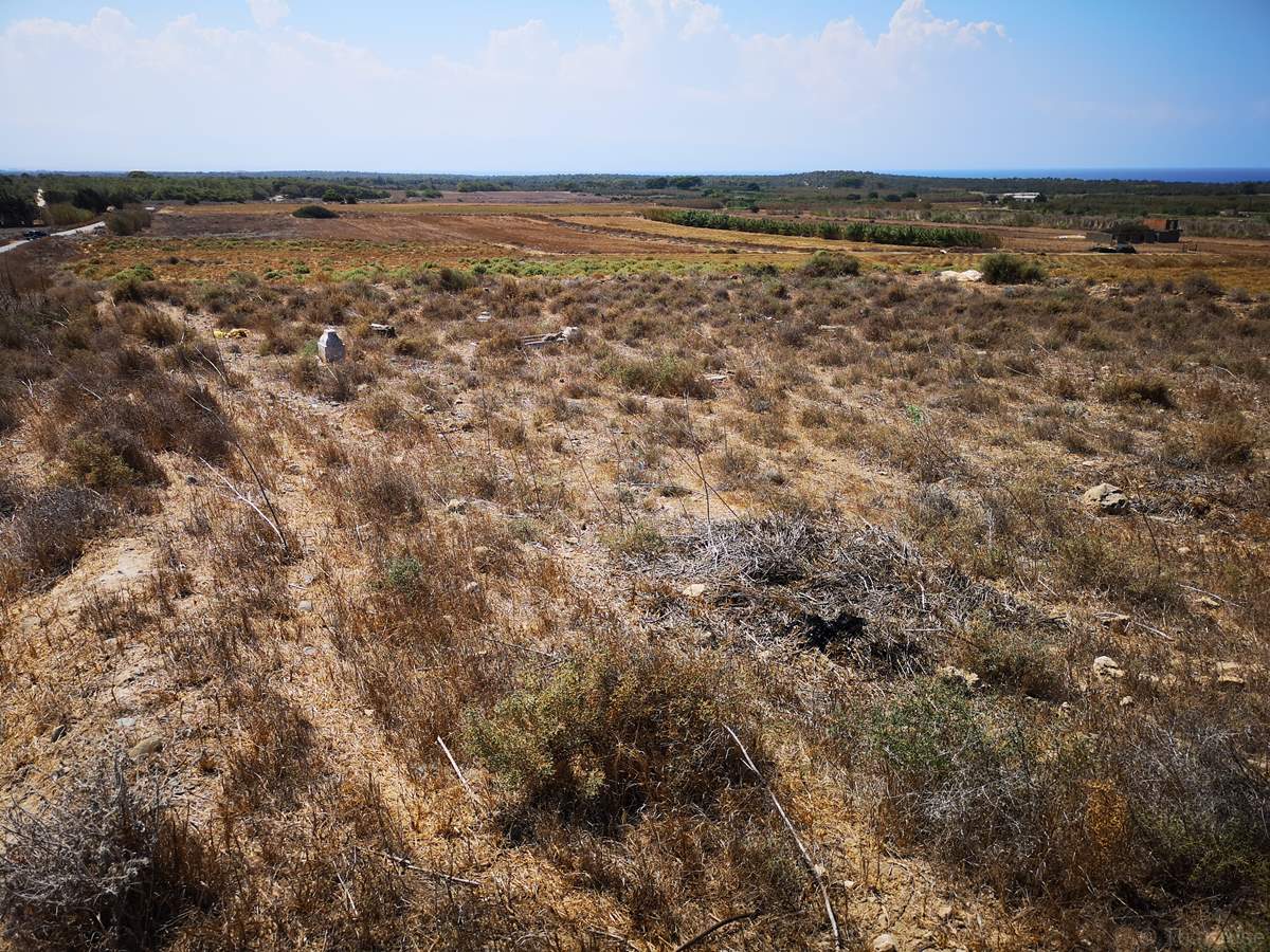 Ελληνορθόδοξο Κοιμητήριο Αγίας Ειρήνης