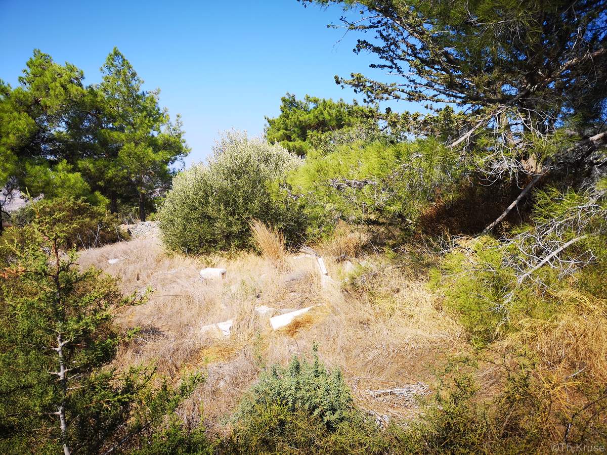 Ελληνορθόδοξο Κοιμητήριο Αγριδάκι