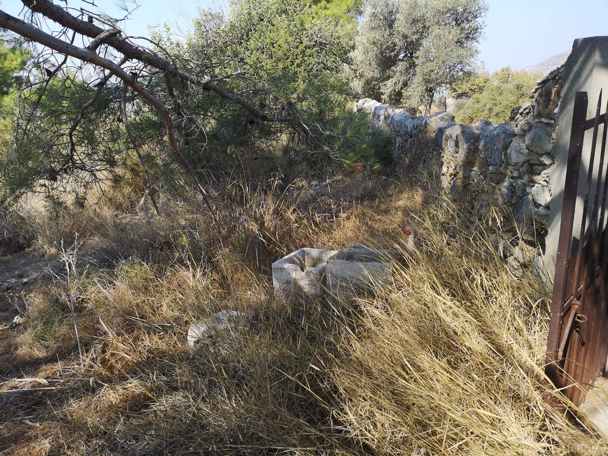 Ελληνορθόδοξο Κοιμητήριο Αγριδάκι