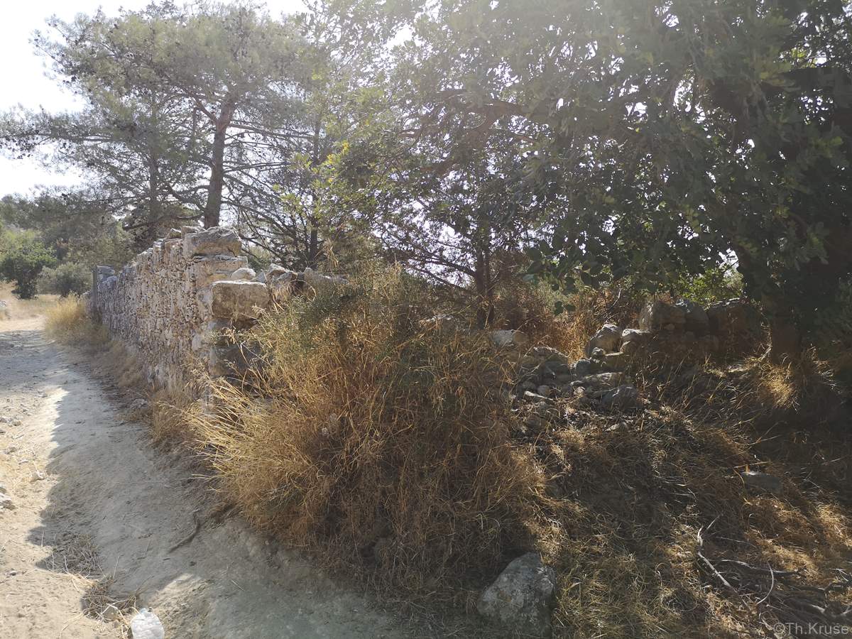 Ελληνορθόδοξο Κοιμητήριο Αγριδάκι