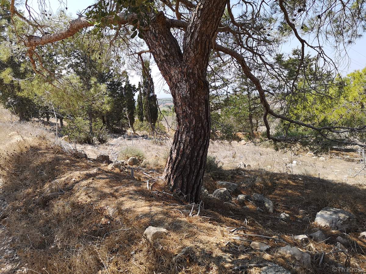 Ελληνορθόδοξο Κοιμητήριο Διόριος