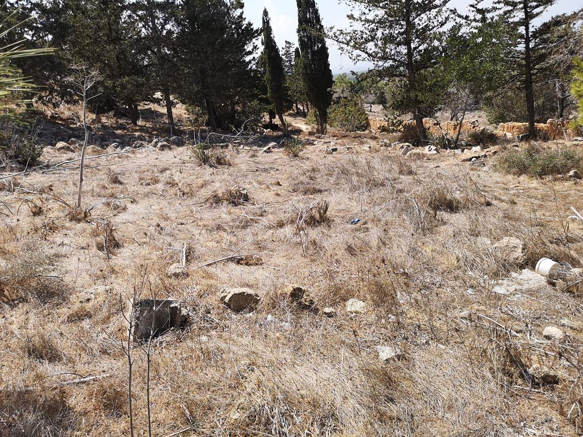 Ελληνορθόδοξο Κοιμητήριο Διόριος
