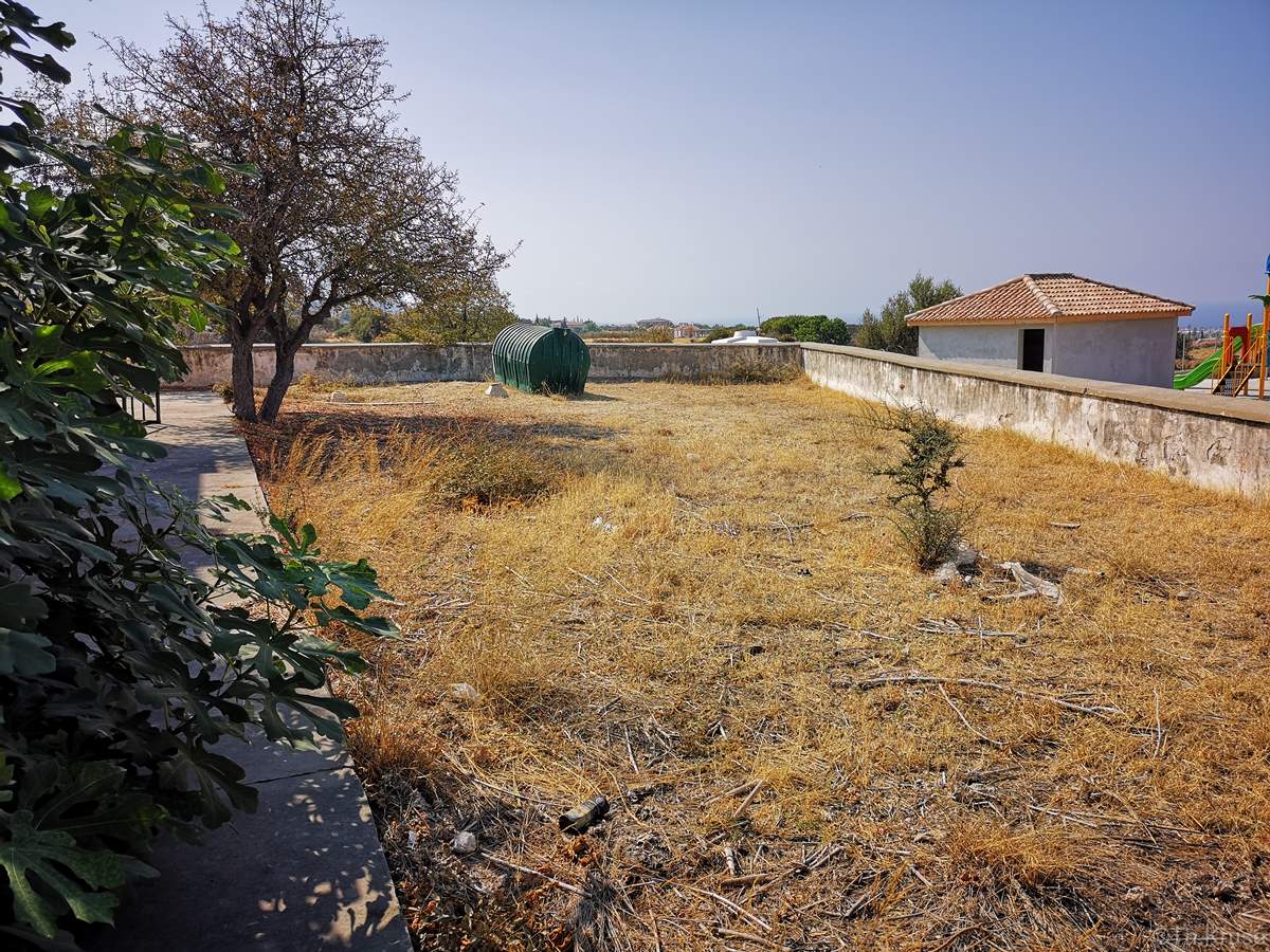 Ελιά Ελληνορθόδοξο Κοιμητήριο