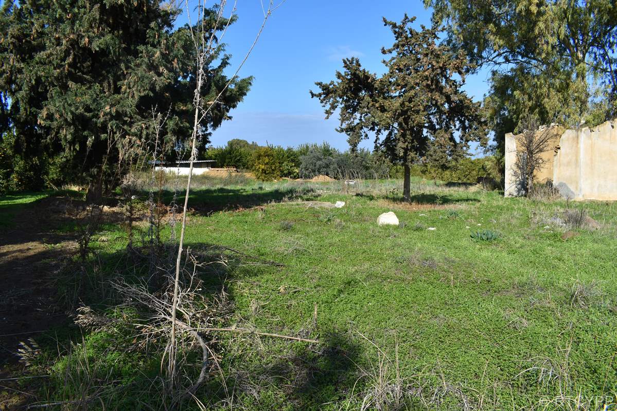 Κοιημητήριο Νέων Ελλήνων Ορθοδόξων Πενταγιάς