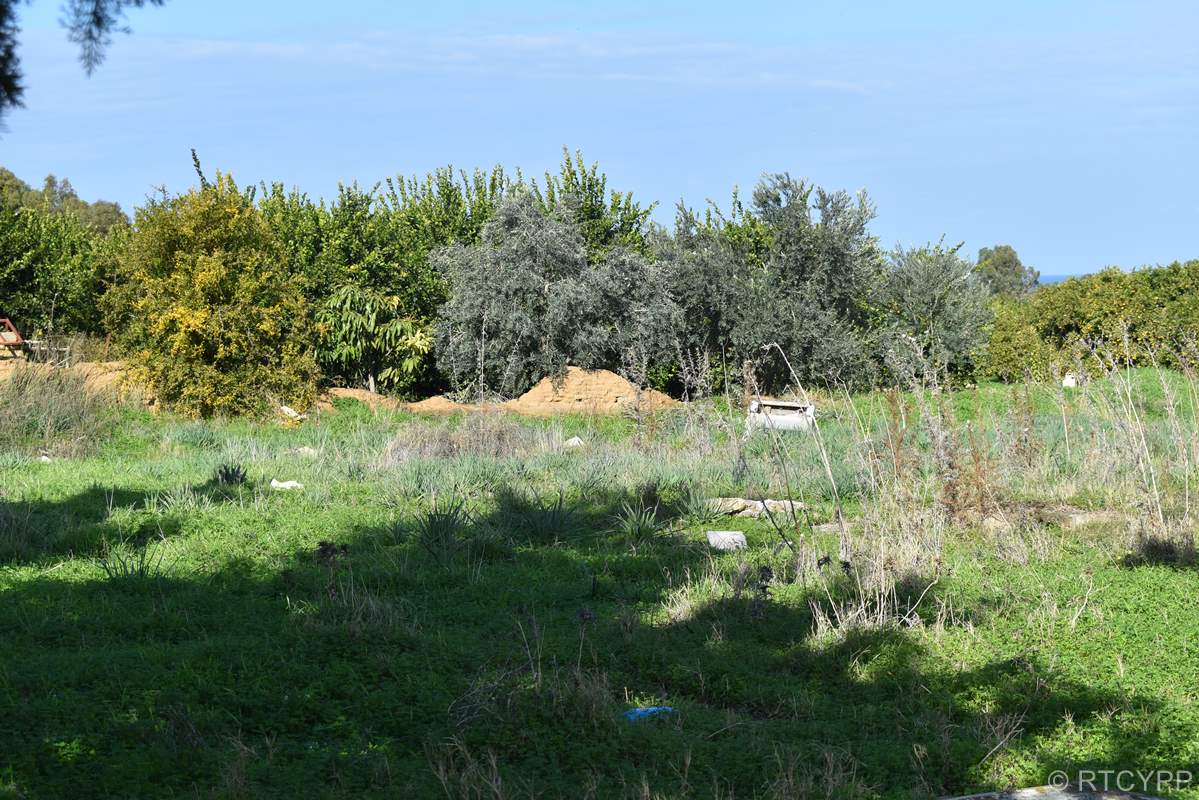 Κοιημητήριο Νέων Ελλήνων Ορθοδόξων Πενταγιάς