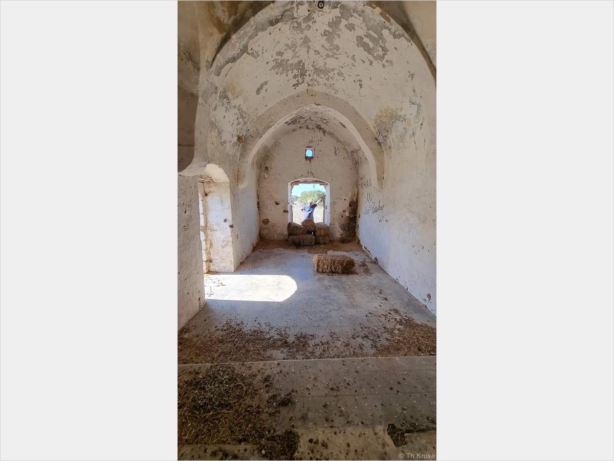 Παρεκκλήσι Αρχαγγέλου Μιχαήλ (Άγιος Γεώργιος) στο Δάσος Κοιλάνεμου