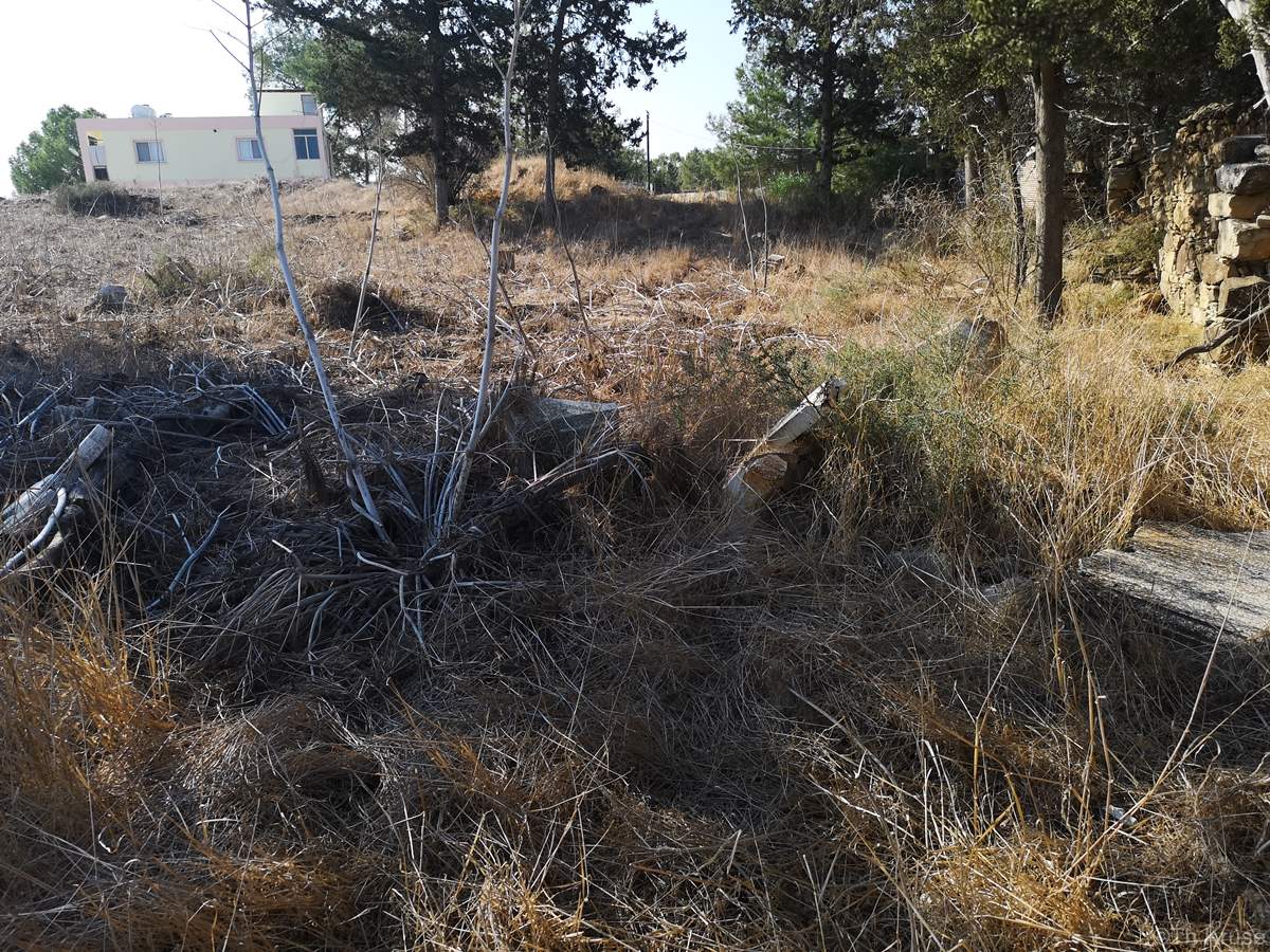 Ελληνορθόδοξο Κοιμητήριο Κοντεμένου