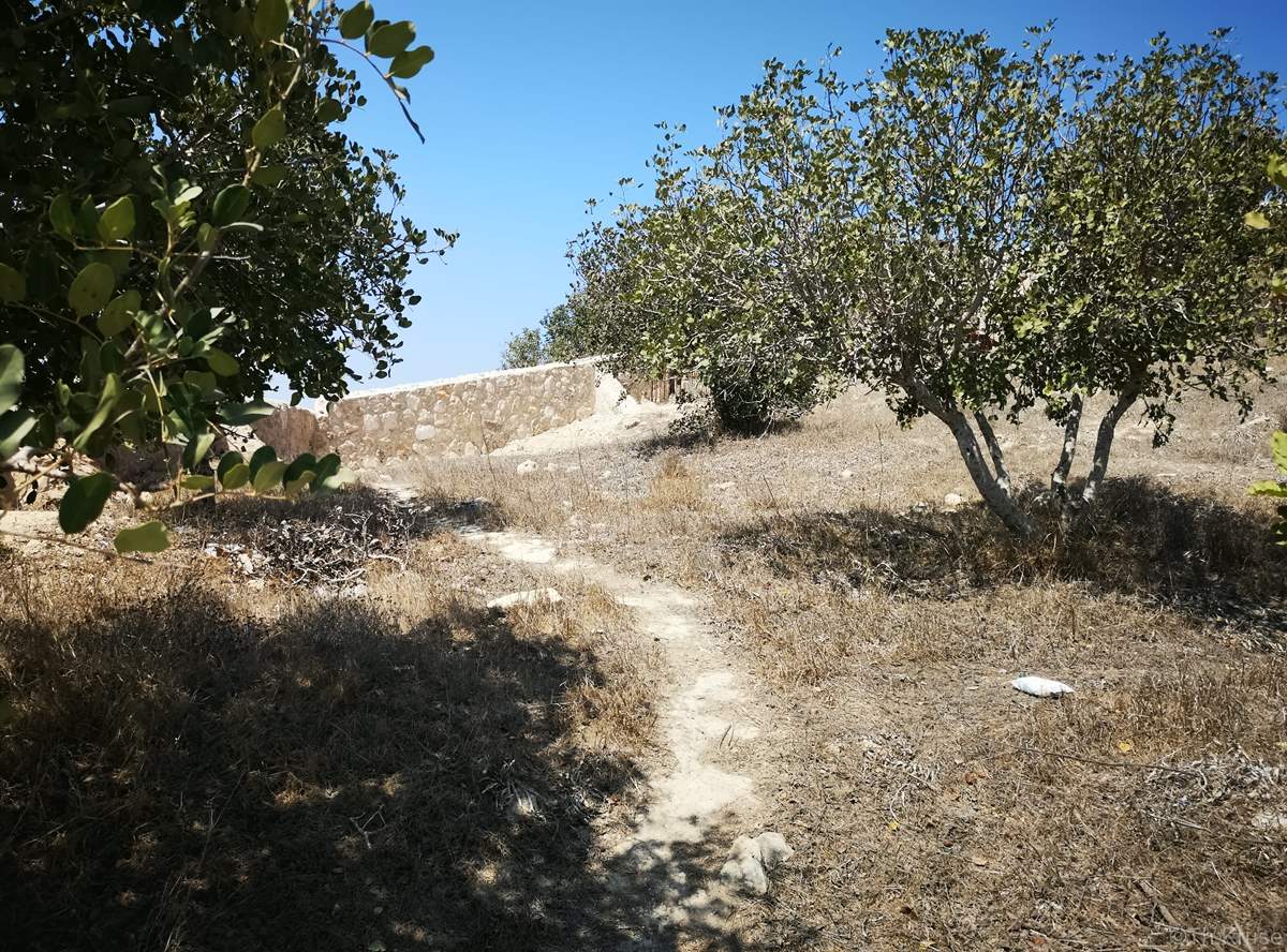 Παλαιό Μαρωνίτικο Κοιημητήριο Κορμακίτη