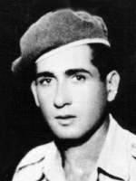 Νίκος Αλεξάνδρου